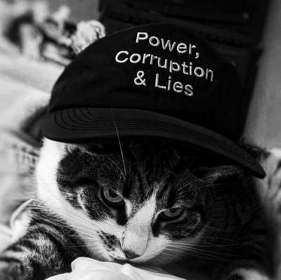 coldaic's profile picture. 🇵🇸🔻