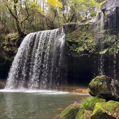 Kaorutamana1's profile picture. はじめまして！MTG(休止中)/AJスタイルズとオレンジキャシディ推し/ぽよとわにゃ/ダイエット/日常/オールブラックス/熊本の話題 熊本・玉名生まれ、第二の故郷は仕事で9年いた南相馬です