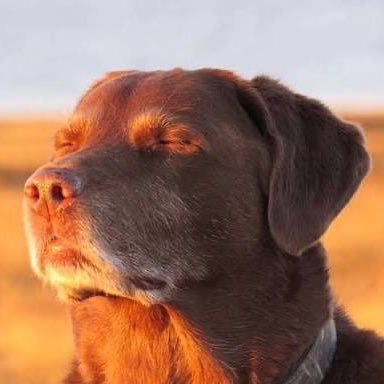 supersonico502's profile picture. 