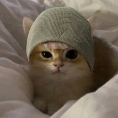 stonddori's profile picture. 🧸 ˖ my cozy corner of dreamland ﹙ 🐋 ﹚    ⫽    ᓚᘏᗢ kadang tweet sbt, voting streaming dan apa aja .ᐟ ֹ