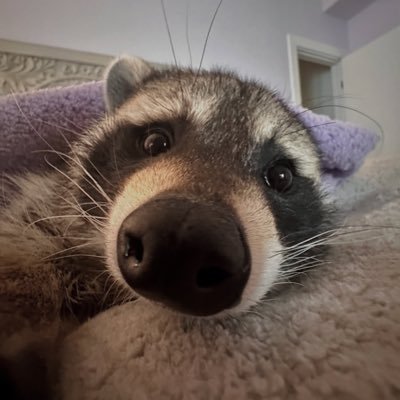 ayreskatie36's profile picture. 21 | Nick | gonna start being active more if your from tik tok welcome