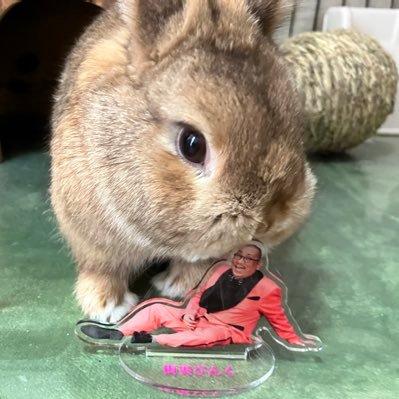 meroki_'s profile picture. ポニョ　まちうら　すき！