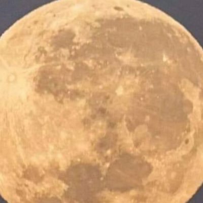 J__vbos's profile picture. 