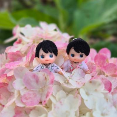 秀(さかえ)사캉🐈🐾🌸 (@yuzu1207_ss) / Posts / X