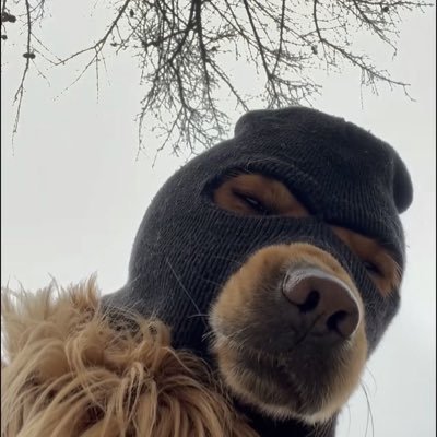 Lynph9's profile picture. 