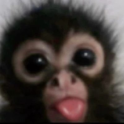 pobpanus14's profile picture. 