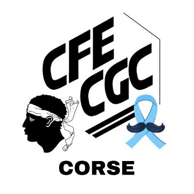 CfeCorse's profile picture. Union Régionale

SYNDICAT DE SALARIÉS