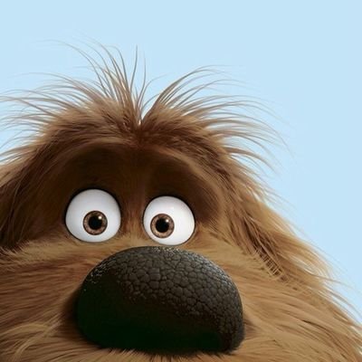 k_p_121's profile picture. CSE |
 Learner for life...