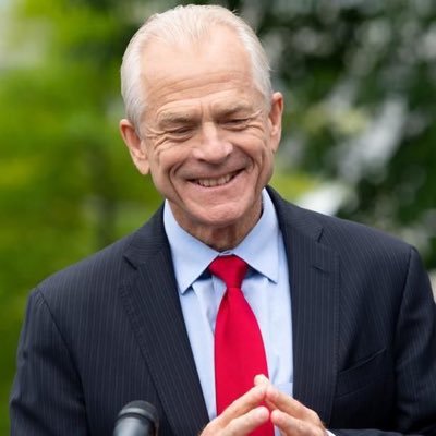 PeterNavarro0_1's profile picture. Senior Counselor for Trade and Manufacturing | 45 & 47