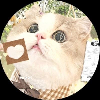Widyassjelek's profile picture. ׁ ₊ ◌ sⓂ️all business ◞ 👧🏻⭐️ kedai mungiL ᥴ⃘ᦱ ٠ telah 𝓑uka___^?! ☘️. ݁˖ . trusted ꜝꜞ100 ᳝࣪ % #RiyaL 𓆇࣪  𝓒hit — chat ak untuk ⛧ 𓈒 order (spess) ര. ❗️💬🛼