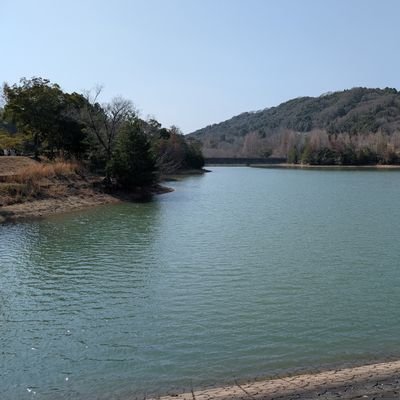 toomo_dailyblog's profile picture. ブログ更新の通知とかに使いたいアカウントです(●´ω`●)
まだまだ本格始動は先の話💦