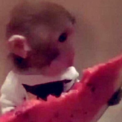 meryjuana555's profile picture. mery in wonderland | @MeryBerry555