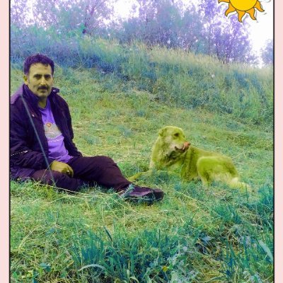 H606890's profile picture. Love .
Love.....!!!!?💖🌹