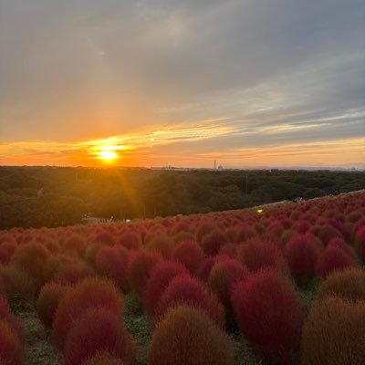 tomaRUNTEQ44052's profile picture. RUNTEQ75期生。2025/11/7入学。 異業種からエンジニア目指します。 沖縄出身です。頑張るゾ！ 宜しくお願いします。