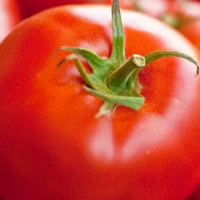 Sola_tomatoma's profile picture. 🌍 💯 / 20^ 계정 막씀. 리버시블의 악마/표기된대로 소비중/구독합니다/FUB free