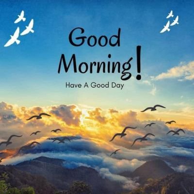 adinoyi_be's profile picture. 