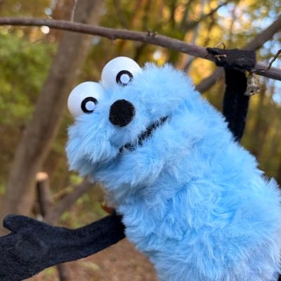 climbing_sunsun's profile picture. てづくりスンスンと登山に行ったりキャンプに行ったりするアカウント