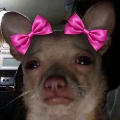 IJ_Espanola28's profile picture. 🇵🇭