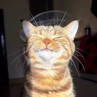 Dr_Samav's profile picture. Je fais de mieux en mieux, de plus en plus rien