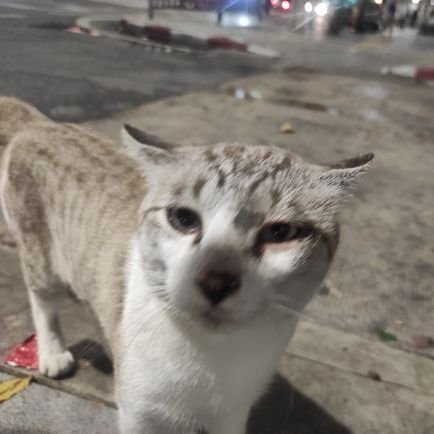 32Febngn1's profile picture. จงเป็นคนใจเย็นและใจดีกับผู้อื่นสมอ เฮ่ยยย เสมอ ถูกแล้ว ๆ กรีดเลือดออกมาเป็นข้าวไข่เจียวกับมัตจะนะเคิ้บ