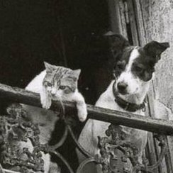 craniummonx's profile picture. Chasing free stuff