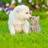 Henry45643's profile picture. 