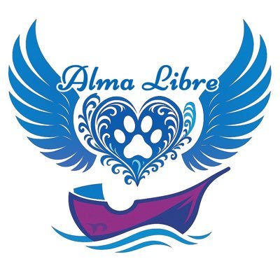 AlmaxLibre's profile picture. 