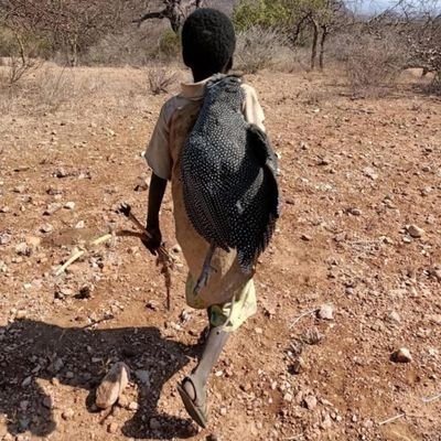 more_sirlart's profile picture. Medical Service II Nursing Officer II Chelsea Fan.