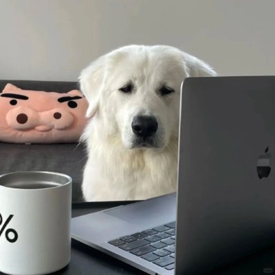 joy08349351's profile picture. 