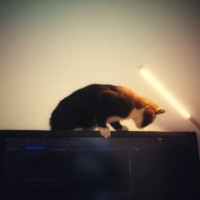 polymaster_io's profile picture. 