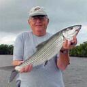 David Cupp Whitney - @whitcomm - Twitter