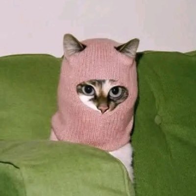 Sofbluemoon's profile picture. I am insane