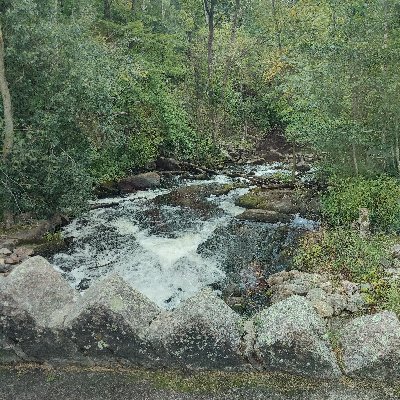 Schizofrendo's profile picture. I want my great grandkids to look like me.
I want my great grandkids to have great grandkids that look like me. Until we reunite through Christ.