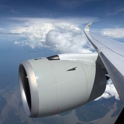 mikeimikii's profile picture. 