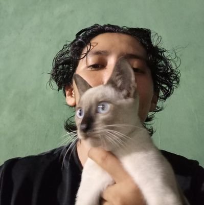 LeilianeBrazVi2's profile picture. Eu sei que os tempos são difíceis
Mas os vencedores não desistem
Então, não desista