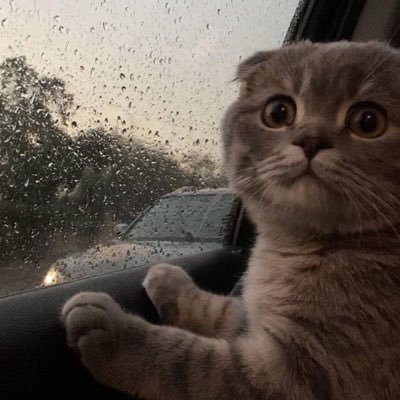 Dyyneee0's profile picture. fortnite player 🇮🇶