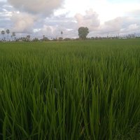 shanmukhaJSP💌🚩 (@gods_yard) 's Twitter Profile Photo