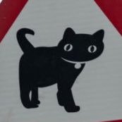 MzZ8rk4DR0QL2vk's profile picture. 