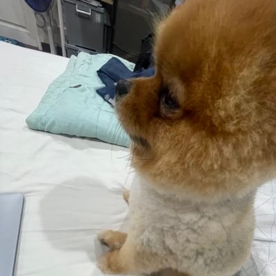 Betoeyy's profile picture. get da hell outta here dude