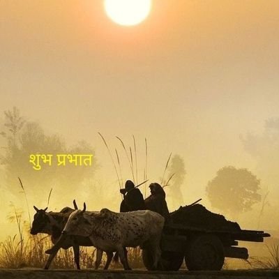 rajsthani1444's profile picture. जय माँ करणी   , 
मै तो पत्थर हूं ,मेरे शिल्पकार मेरे माता पिता है ,मेरी हर तारीफ के वो हकदार है 

राजस्थानी ❣️