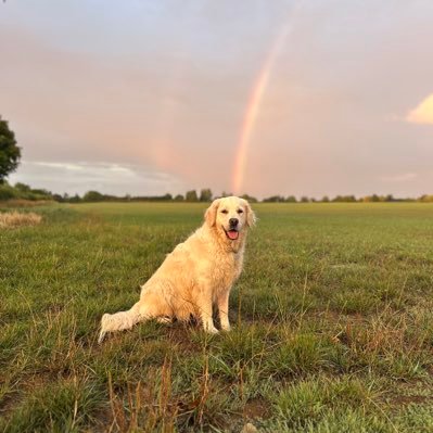 mrsVJxo's profile picture. 