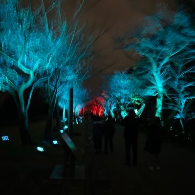 ABuribu_re's profile picture. 時は来た、それだけだ