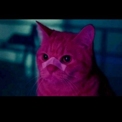 cryptoguy2112's profile picture. DeFi