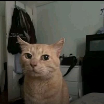 chikovbale's profile picture. Seneca in 21' Century