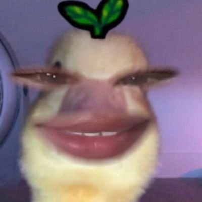 RYYN_19GAY's profile picture. om-om bisa kesini#semakin banyak rumah tangga yang hancur kami semakin bersyukur#lonte