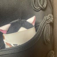 壱🍻_kaku (@yong_huo35685) 's Twitter Profile Photo