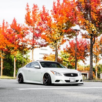 wataru_clunker's profile picture. CKV36 ☞CKV36 6MT/T33エクストレイル🚗 スカクーとプリン大好きマン 夏がめちゃくちゃに嫌い