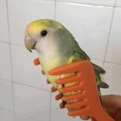 jafrlibon's profile picture. 20대 여성 / 투자, 경제 공부 / 자기계발 / 일상