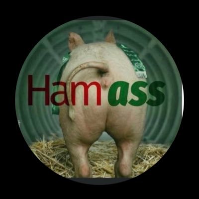 ripthegreatone's profile picture. Zemmour .Suivi par Mr Messiha #jambonbeurre athée mais j’aime les clochers et mon pays 🇫🇷je soutiens 🇮🇱 et vive le whisky 🥃 tourbé L’OM et le 🐷