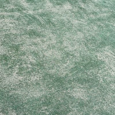 thfkdbs1234's profile picture. 